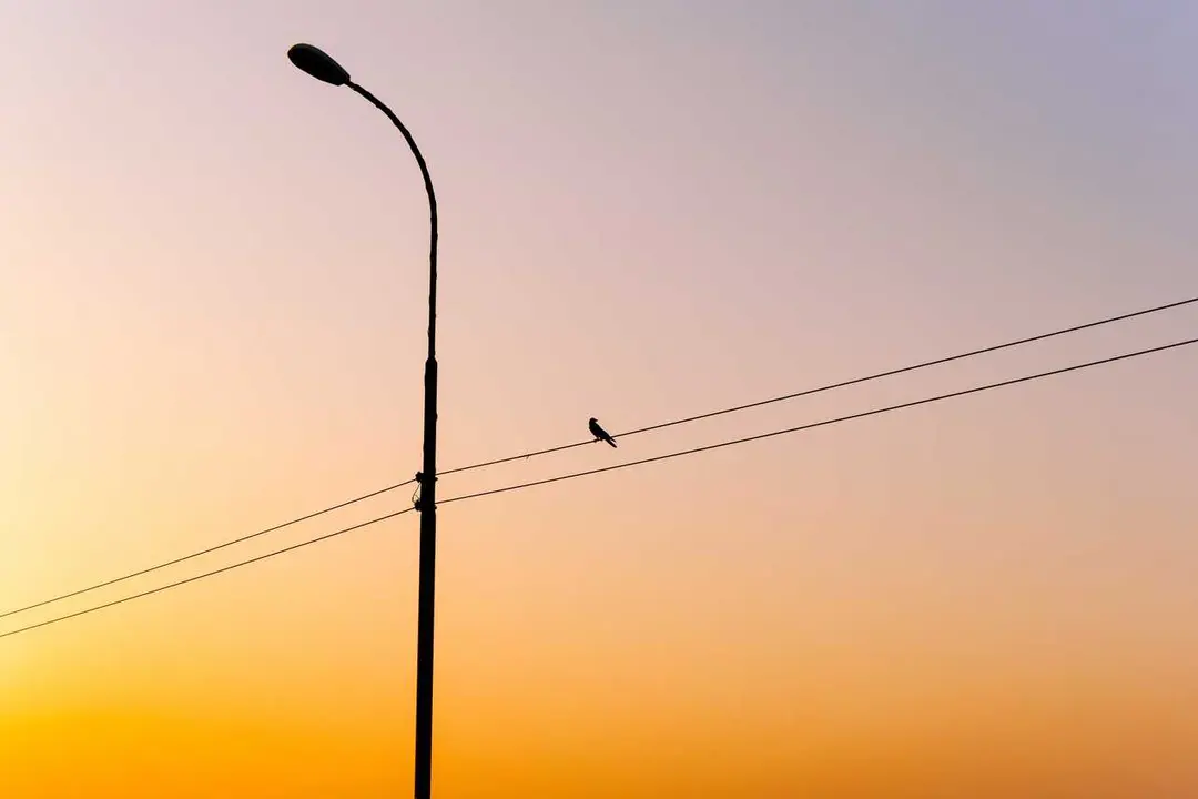 Farola