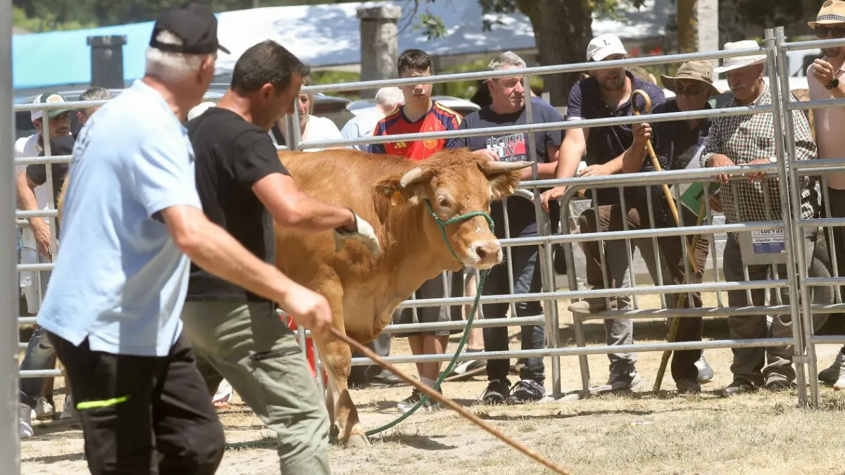 NOTICIAS AQUI DIARIO (1200 x 675 px) - 2026-06-14T162917.451
