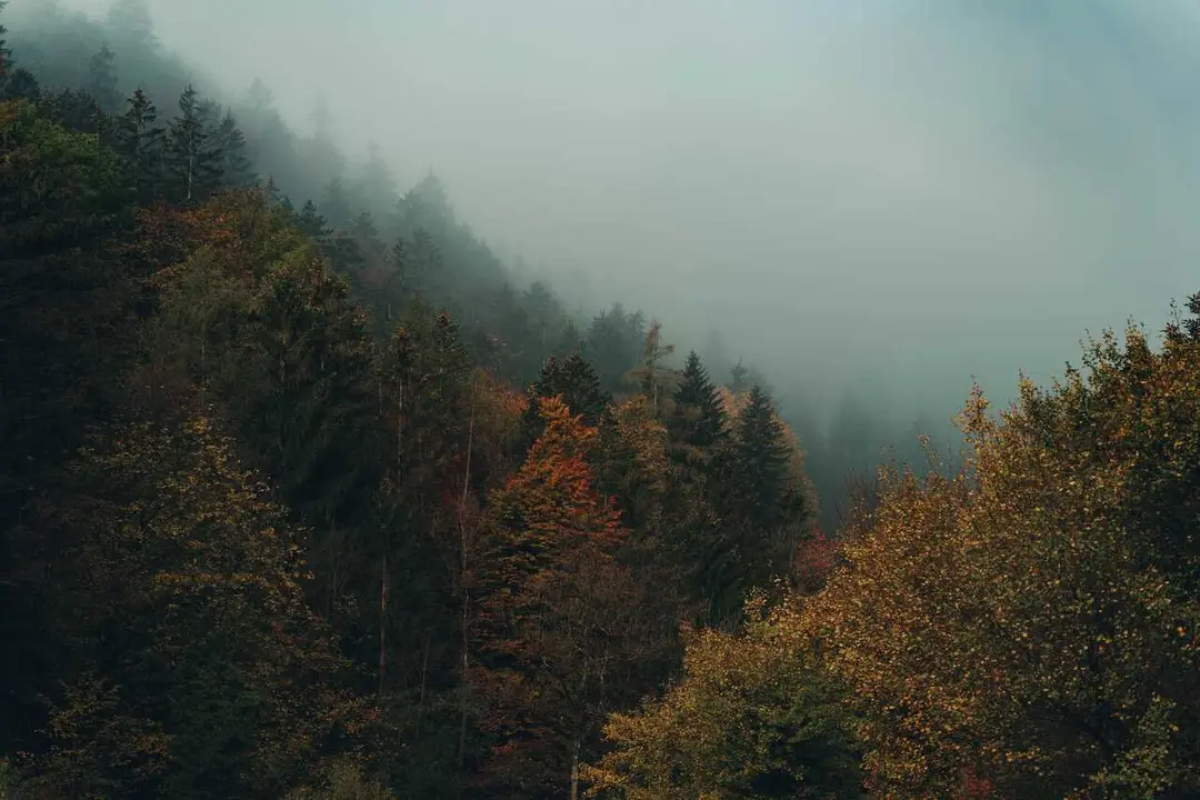 Lluvia, niebla, monta&ntilde;a