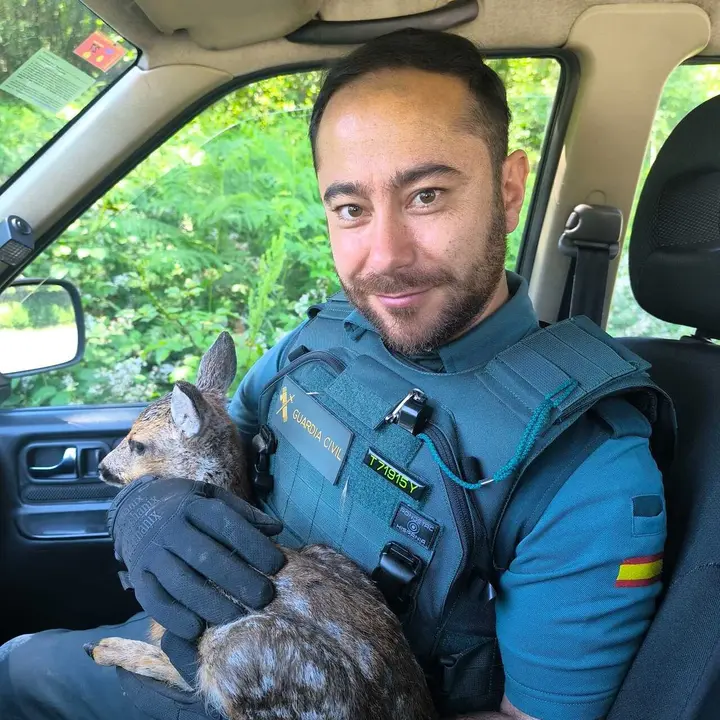 La Guardia Civil rescat&oacute; un corcino desorientado en Becerre&aacute;