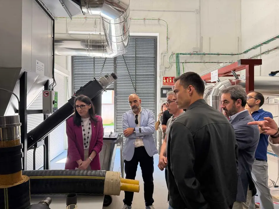 Rosa Crujeiras, en la inauguraci&oacute;n de la red de biomasa del Campus Terra