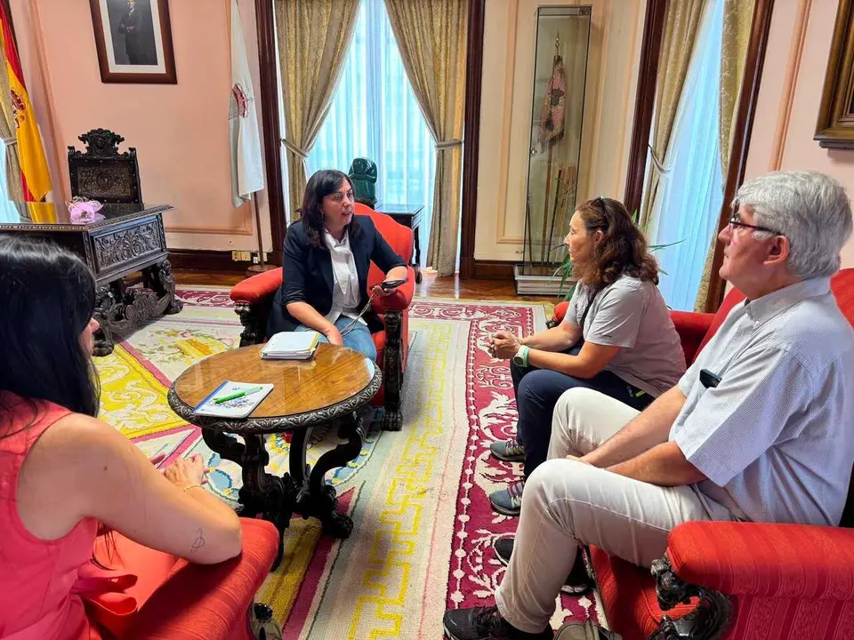 Reuni&oacute;n Directiva Protectora