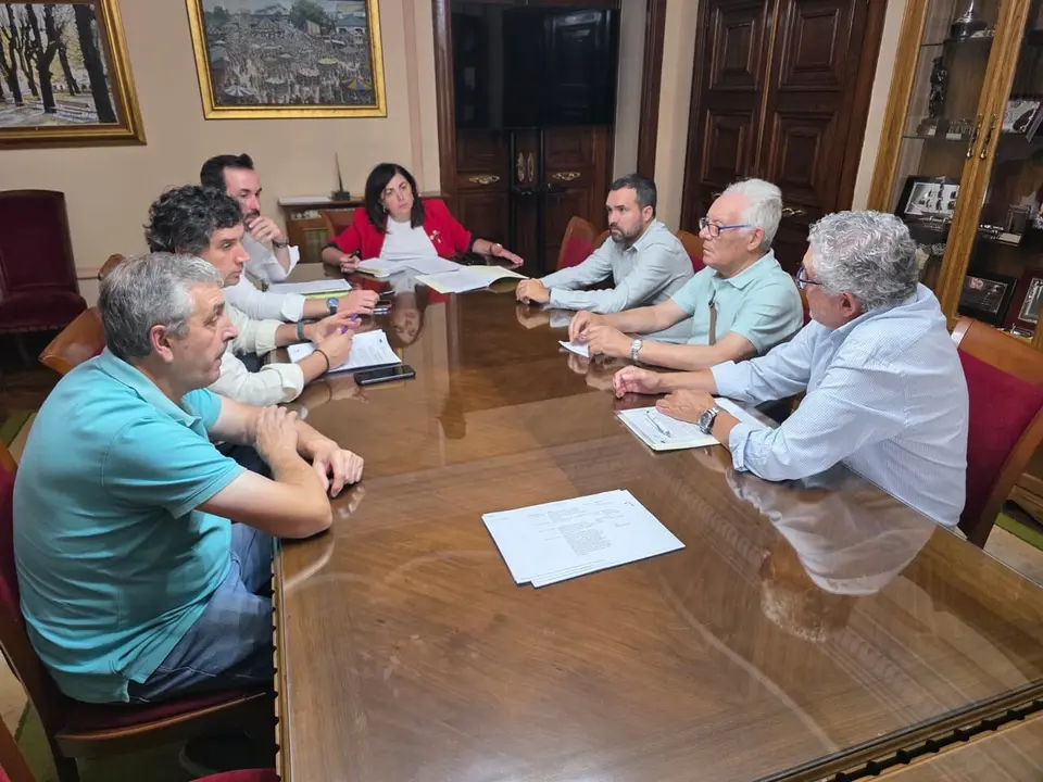 Reuni&oacute;n Louzaneta (1)