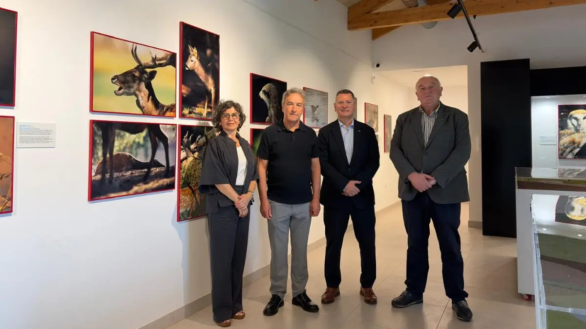 exposici&oacute;n A Pastoriza