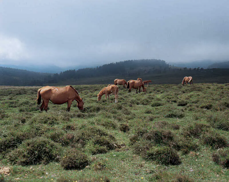 Terras do Mi&ntilde;o, en Pastoriza. Foto: Turismo de Galicia