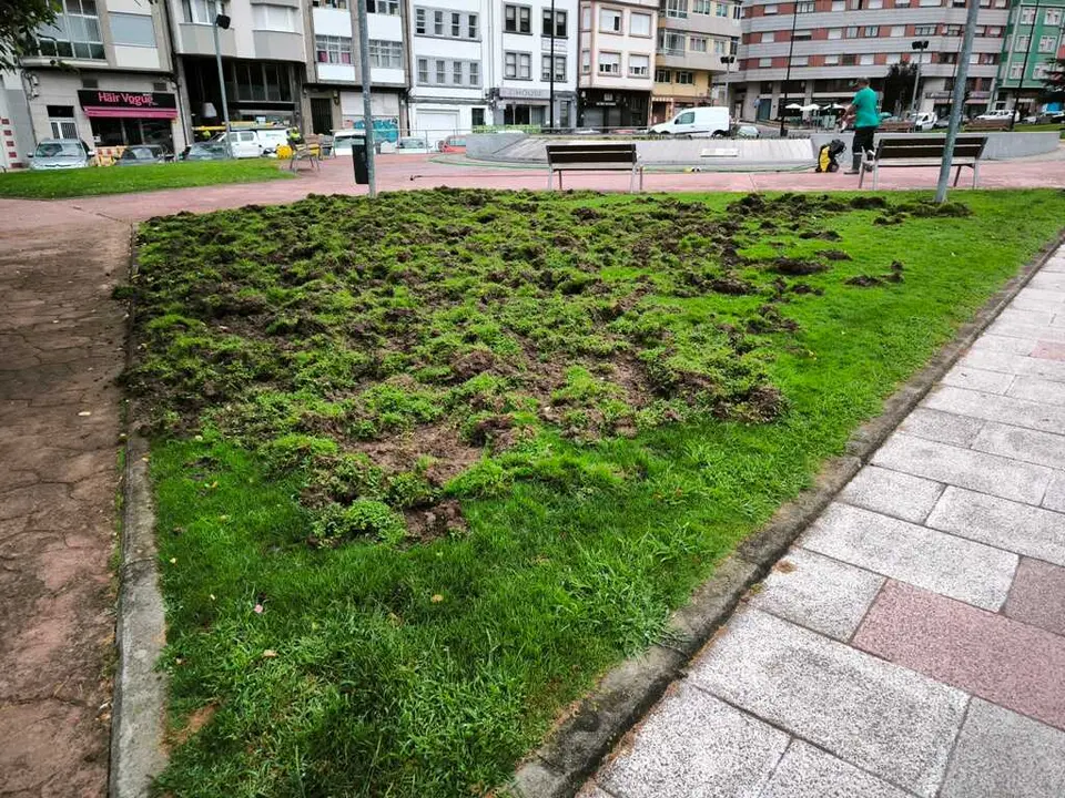 Os xabar&iacute;ns destrozan o xard&iacute;n da Fonte dos Ranchos (foto 1)