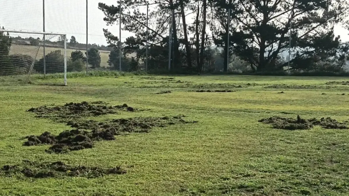 Campo de f&uacute;tbol Municipal Chao da Poza-Marcos Arias. Foto: Portomar&iacute;n F&uacute;tbol Club