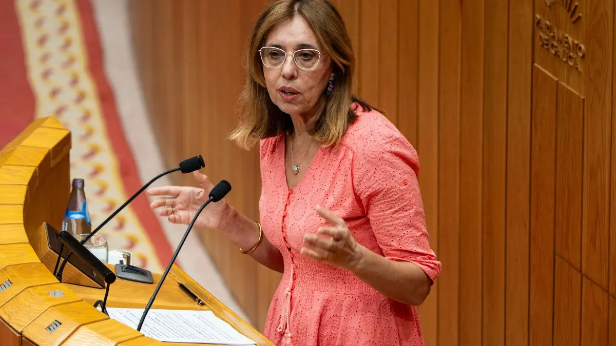 Raquel Arias, portavoz de Pol&iacute;tica Social del Grupo Parlamentario Popular