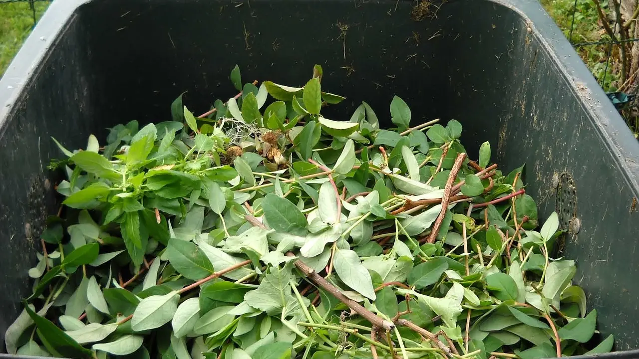 Compost, compostaje.