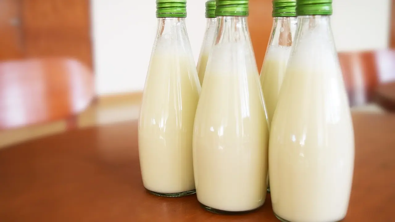 Leche, botella de leche