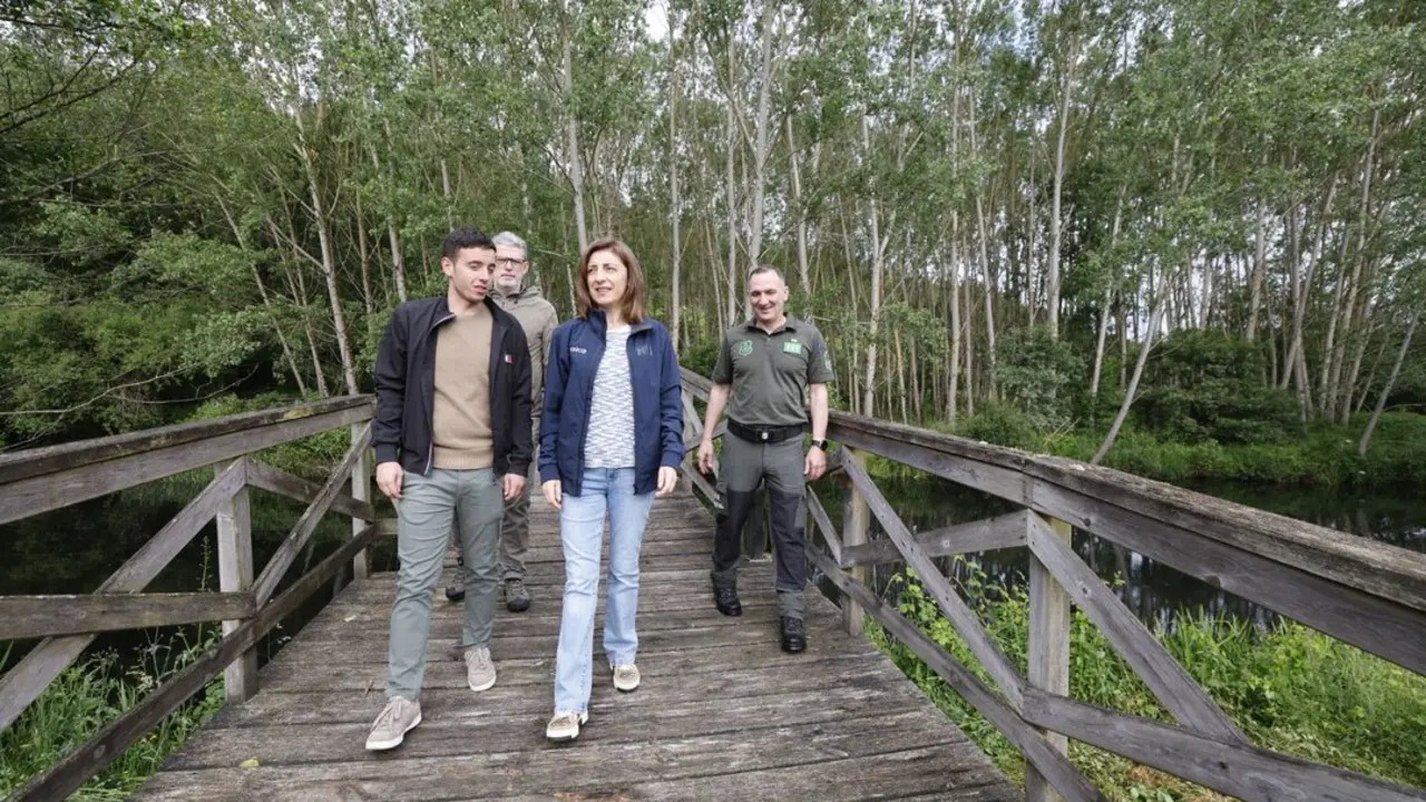 20250607 AVMGuntin 4