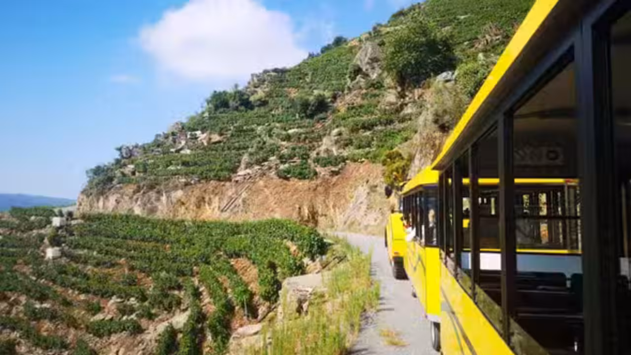 2025091017405210567_