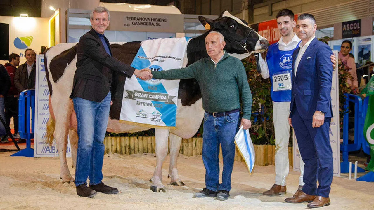 campeona-rexional-galicia-2026-web