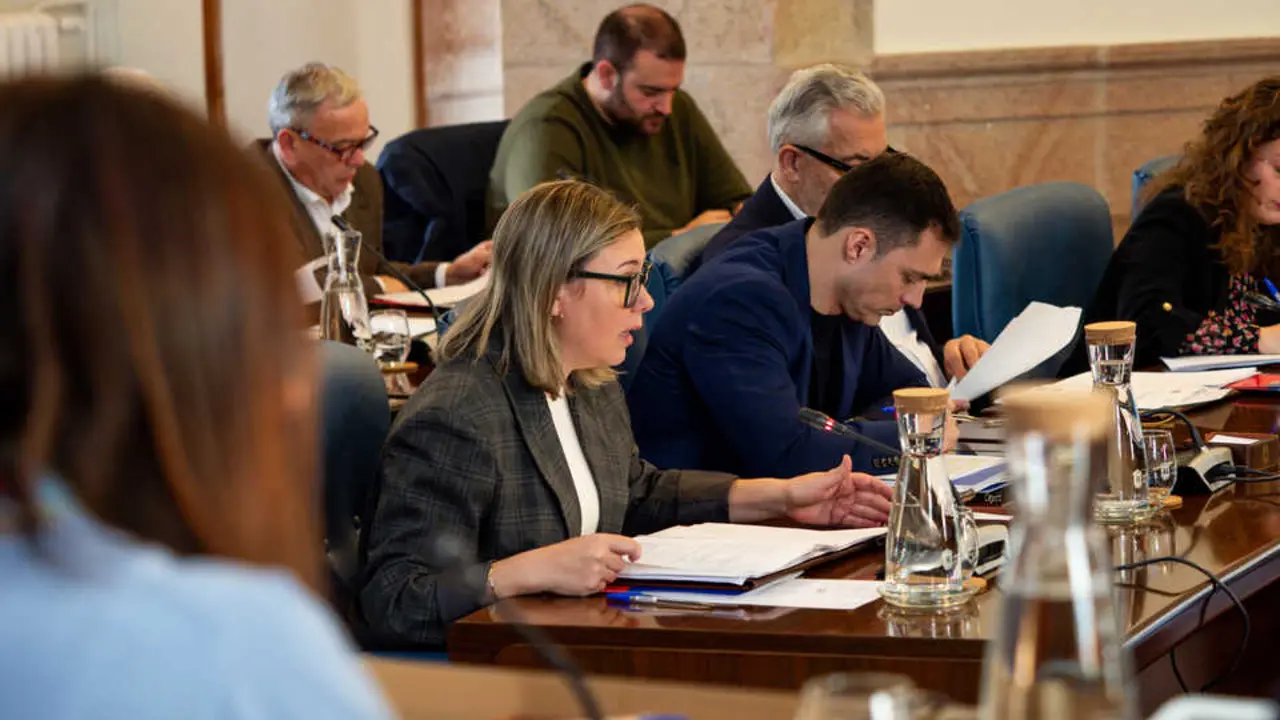 24022026_Pleno ordinario de la Diputaci&oacute;n de Lugo.
PRADERO