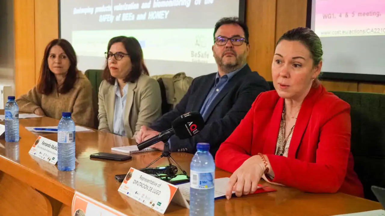 03032026_A Deputada de R&eacute;xime Interior, Promoci&oacute;n do Territorio e Turismo, Pilar Garc&iacute;a Porto, participar&aacute; na inauguraci&oacute;n das Xornadas T&eacute;cnicas Cost Action BeSafeBeeHoney da Universidade de Santiago (USC). PRADERO