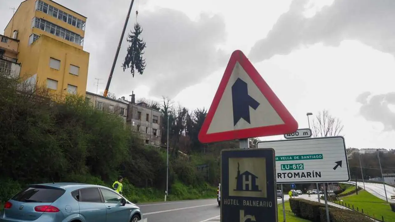 Retirada de un abeto de grandes dimensiones de la zona de la r&uacute;a Santiago y la N-6. PRADERO