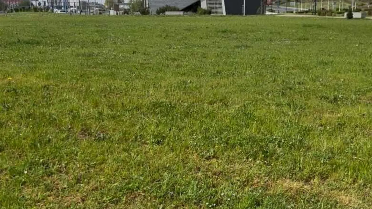 Zona Hortos Anunciados 2021