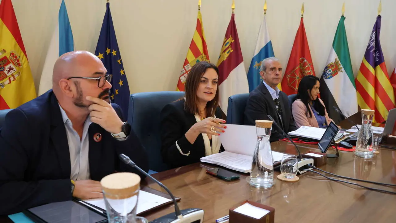 280426 Pleno ordinario da Deputaci&oacute;n