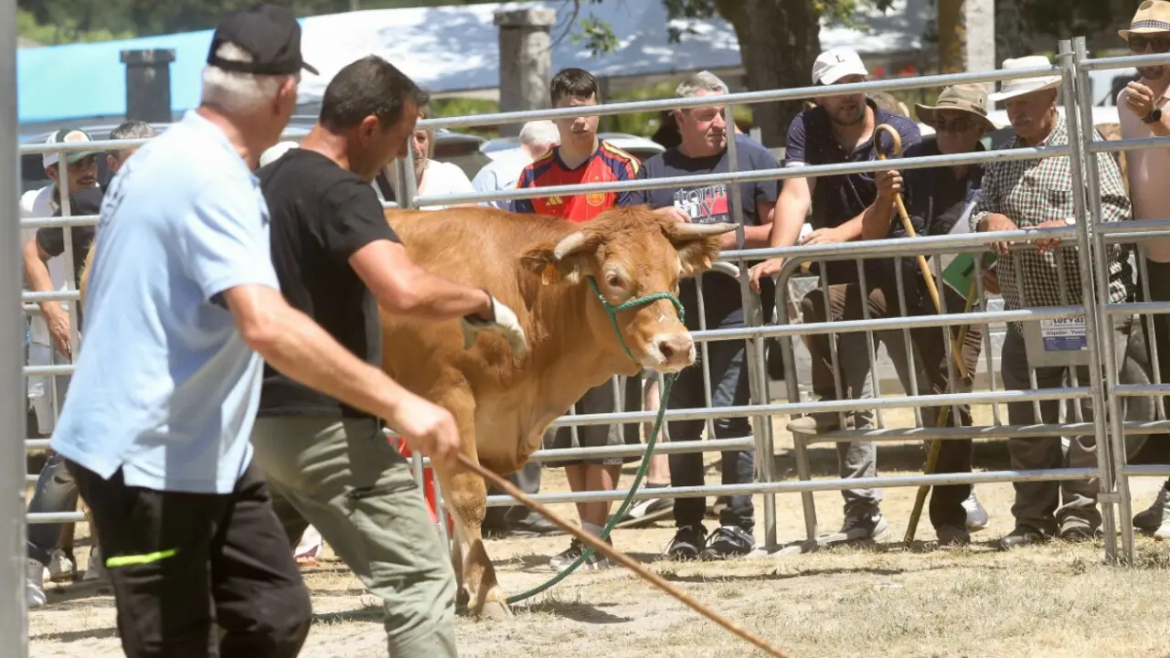 NOTICIAS AQUI DIARIO (1200 x 675 px) - 2026-06-14T162917.451