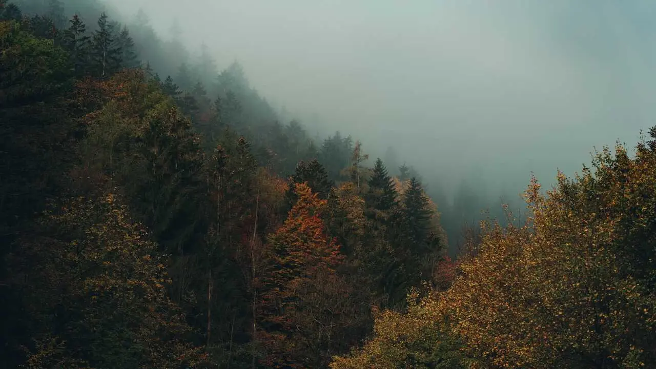 Lluvia, niebla, monta&ntilde;a