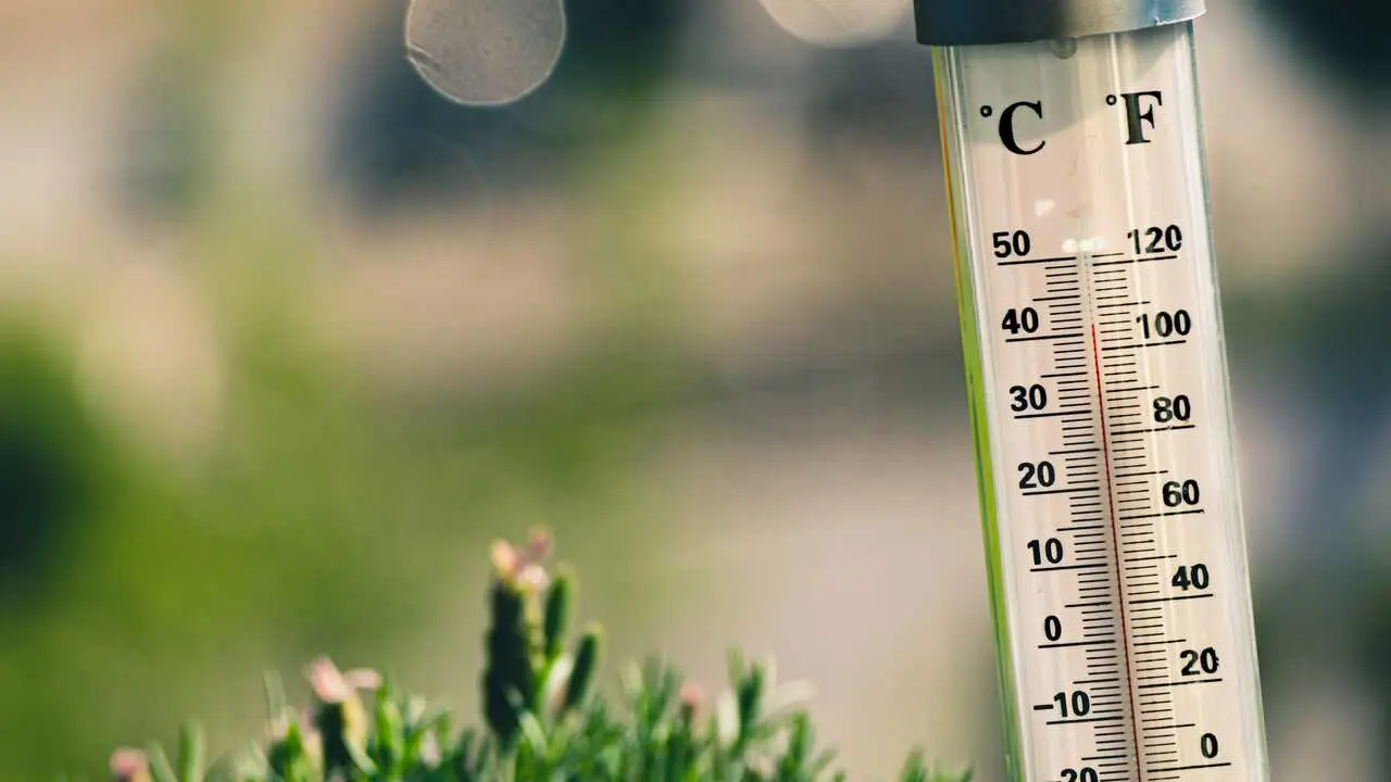 Term&oacute;metro, calor