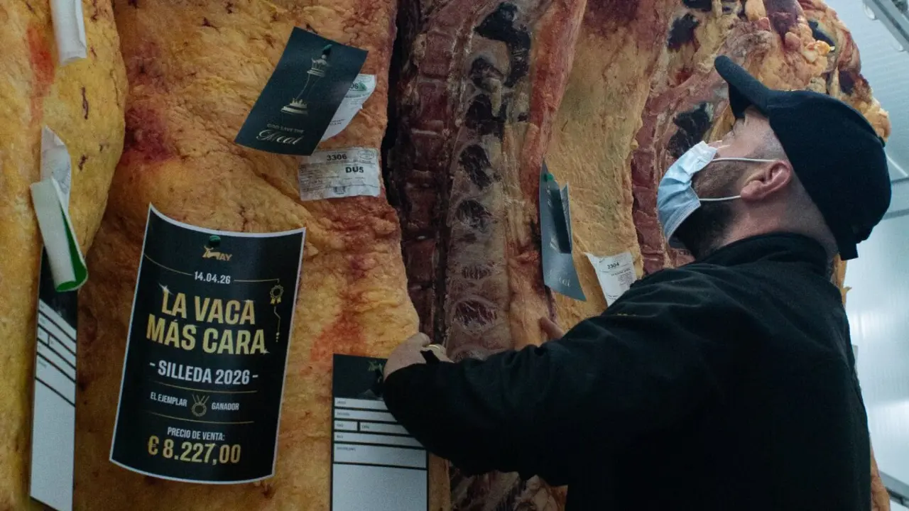 Vaca Carnicer&iacute;a Nay