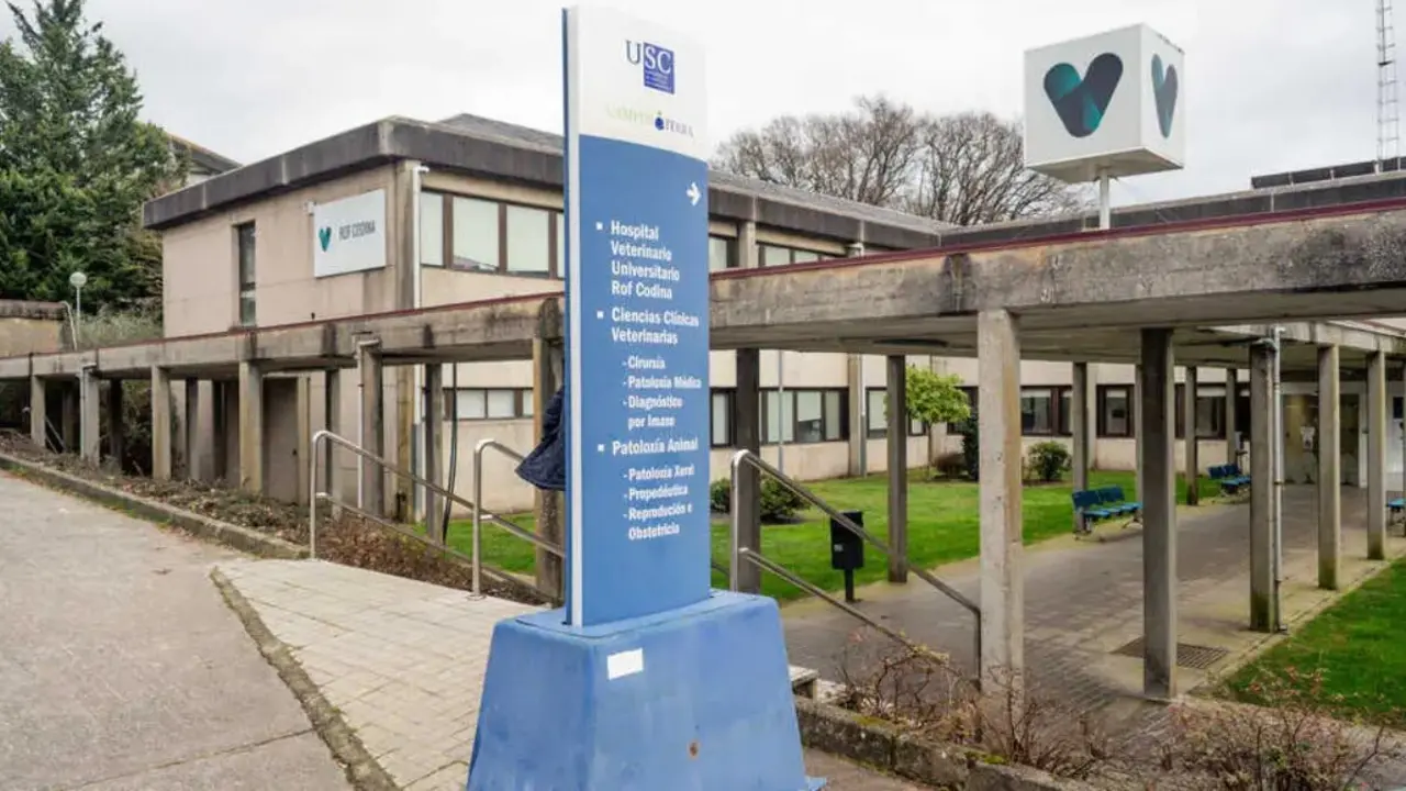 campus veterinaria