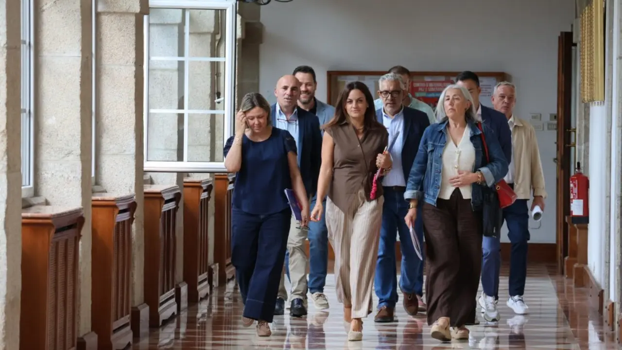 psoe entrada pleno