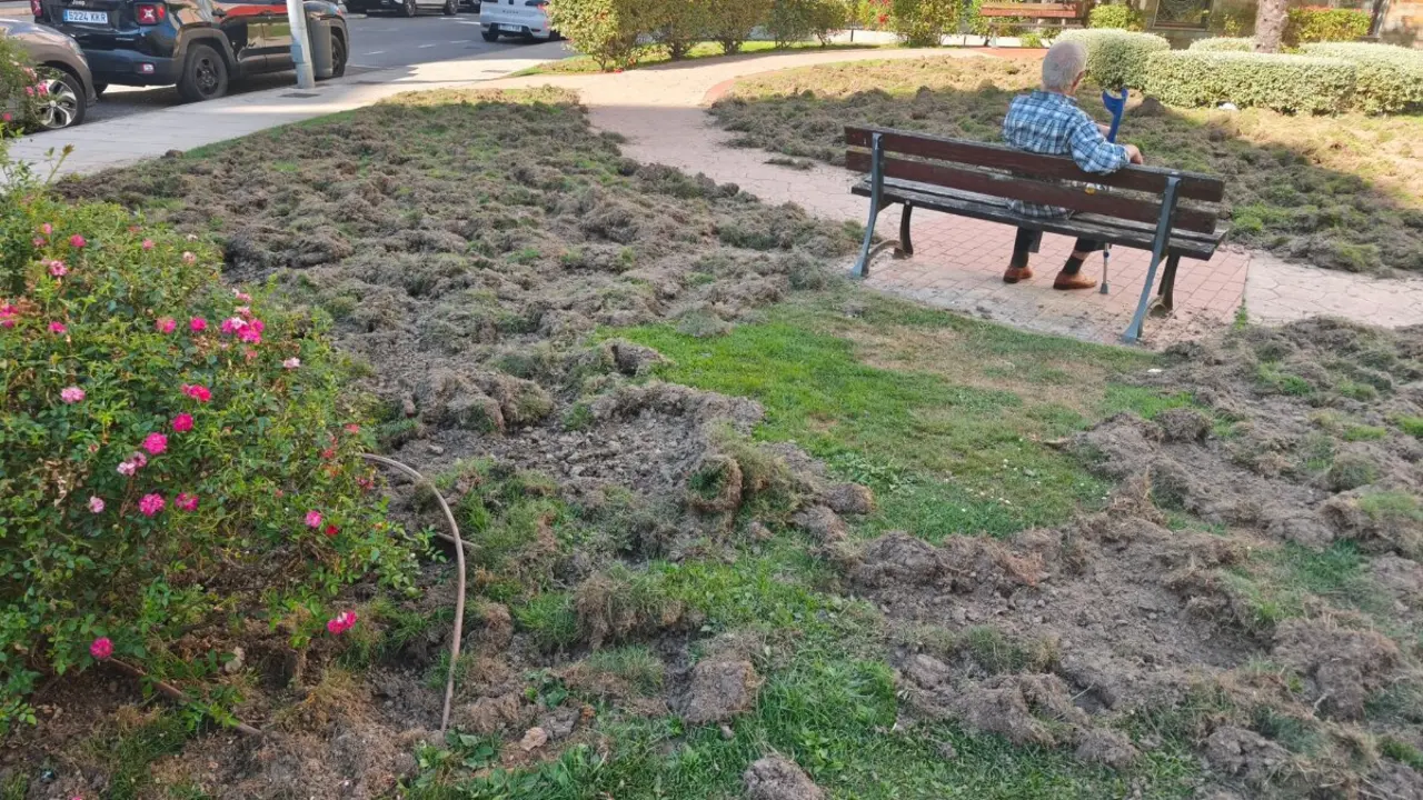 destrozos jabal&iacute;s