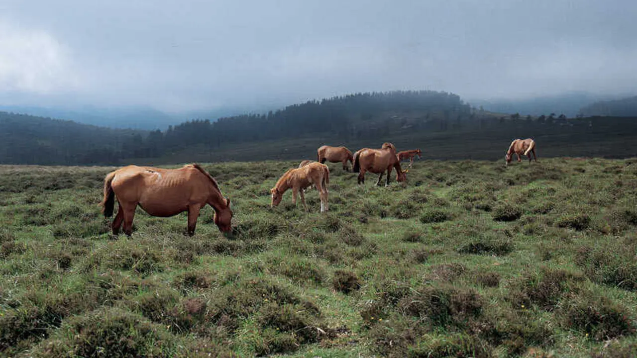 Terras do Mi&ntilde;o, en Pastoriza. Foto: Turismo de Galicia