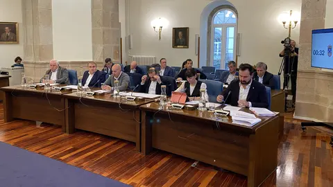 ameijide diputacion alcoa declaracion institucional