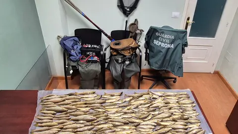 Truchas incautadas por la Guardia Civil en A Fonsagrada