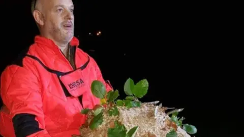 Manuel Andrade, velutinas