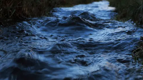 R&iacute;o
