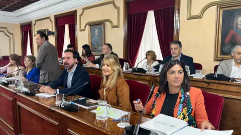 Elena Candia, en un pleno del Concello de Lugo. PP