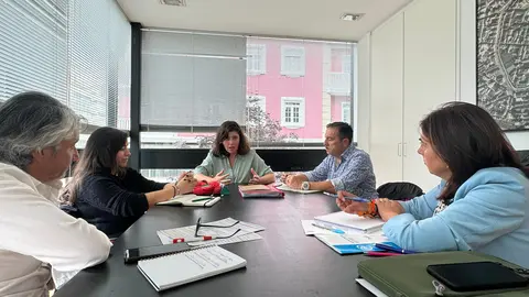 Reunión entre Elena Candia y representantes del Colexio de Arquitectos