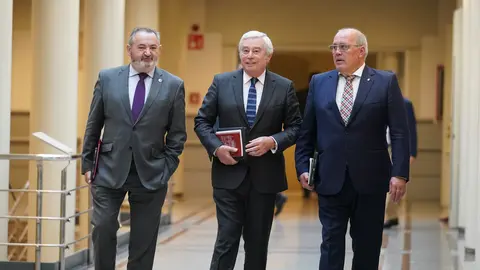 Senadores PP Lugo