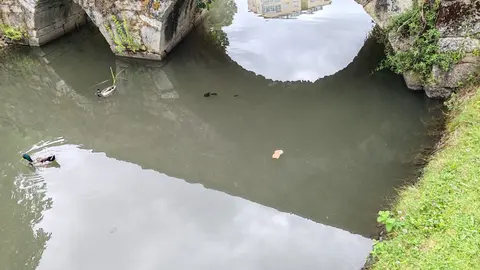 FOTO PP Monforte saneamento Compañía (2)