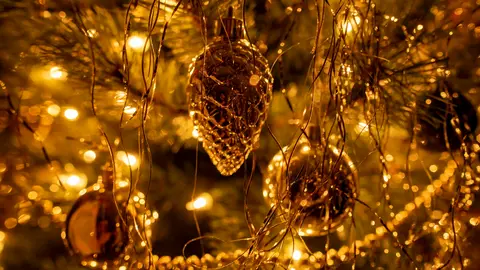 Navidad, árbol, luces
