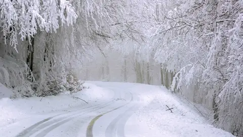 Carretera, invierno, nieve
