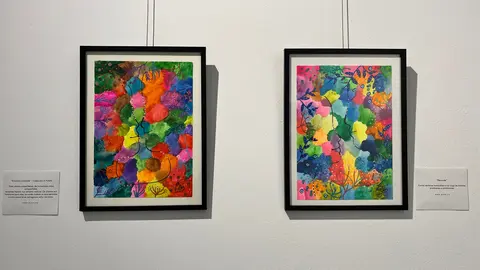 Exposición de Blanca Cenalmor en O Vello Cárcere de Lugo