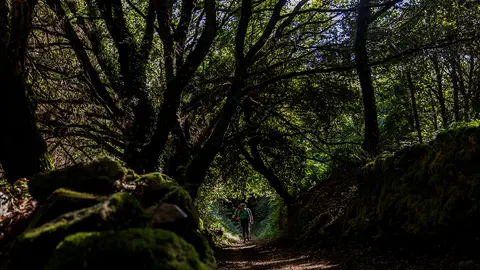 1ER PREMIO Camiño Primitivo - Lina Iglesias Forneiro