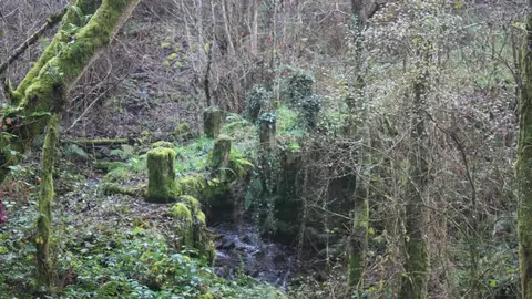 Fotografía ganadora en el Concurso Fotográfico de Nadal Segredos de Pantón
