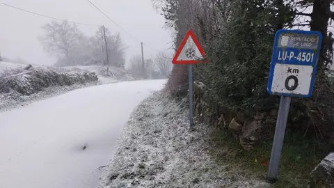 270125 Temporal Herminia LU-P-4501 (1)