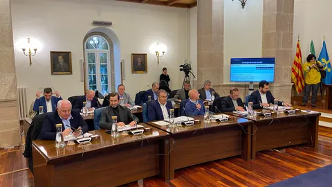 Deputados provinciais GPP pleno Deputación 28012025