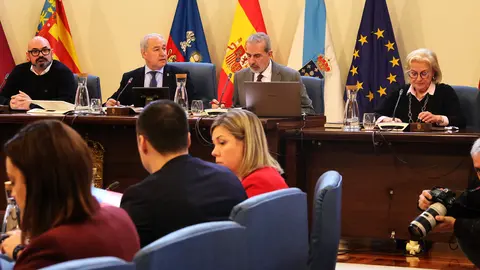 250225 Pleno Deputación