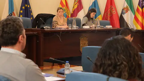 280225 Consello de Turismo da Deputación