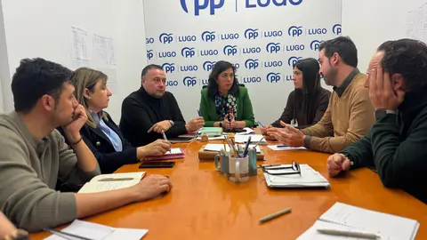 Reunión GMPP Lugo 2025.03.05