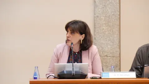 Foto Montse Valcarcel Comision