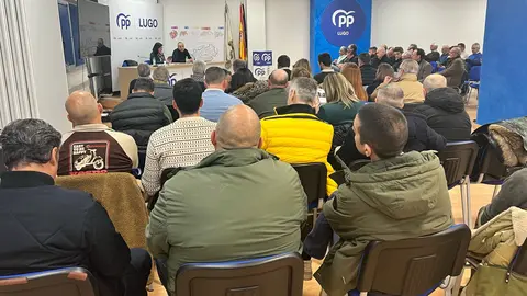 Xunta Local  (2)